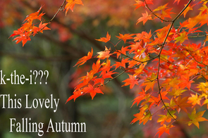 K-THE-I??? - This Lovely Falling Autumn