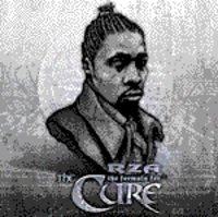 Rza - The Formula For The Cure