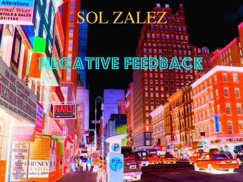 SolZalez_NegativeFeedback