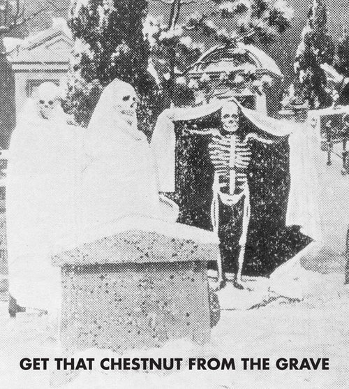 Get That Chestnut From That Grave